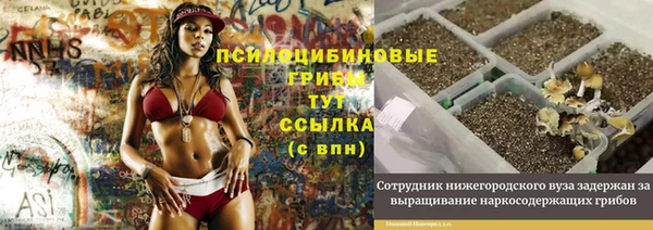 соль ск Балабаново