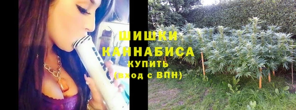соль ск Балабаново