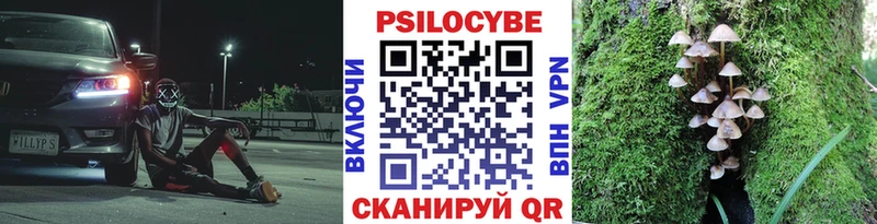 Галлюциногенные грибы мухоморы где купить Городовиковск
